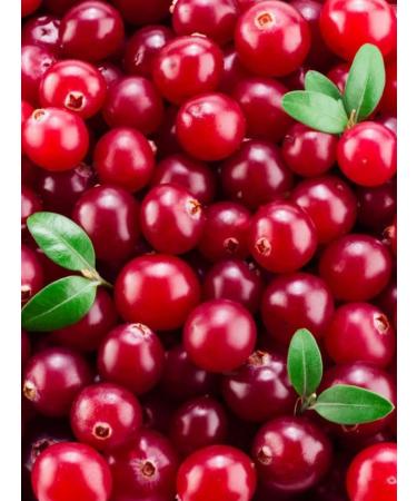 NOYER Dried jerky cranberry 900 g - Buy Online on GoSupps.com