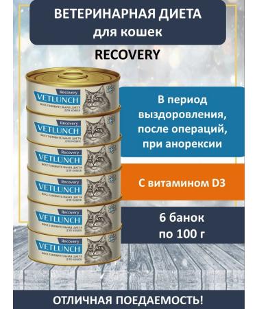 Pet Lunch Wet food for recovery cats 6 cans of 100 g