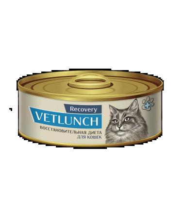 Pet Lunch Wet food for recovery cats 6 cans of 100 g - Buy Online on GoSupps.com