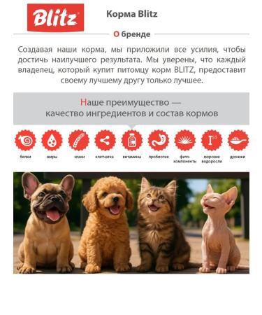 BLITZ Dry food for cats with food allergies dermatitis 0.4kg - Buy Online on GoSupps.com