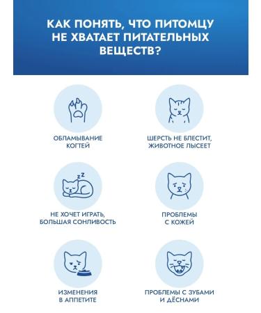 AGORAmilk Dairy mixture for kittens 500g with a feed set - Buy Online on GoSupps.com