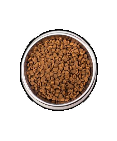 MONGE VetSolution Dermatosis for cats with skin diseases 1.5 kg - Buy Online on GoSupps.com