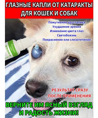 Eye drops for dogs and cats from clouding of the cornea 20 ml