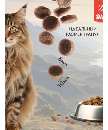 BLITZ Dry food for sterilized cats with duck and rabbit 1.5 g - Buy Online on GoSupps.com