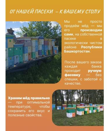 Honey from Islamov's apiary Bashkir Flower Honey 4200 g collection 2025 + Gift - Buy Online on GoSupps.com