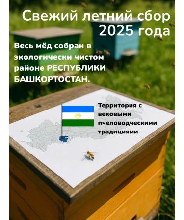 Honey from Islamov's apiary Bashkir linden honey 4200 g collection 2025 + Gift - Buy Online on GoSupps.com