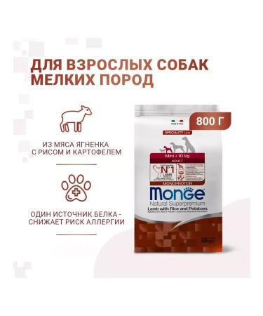 MONGE Mini Adult food for adult dogs of small rocks 800 g - Buy Online on GoSupps.com