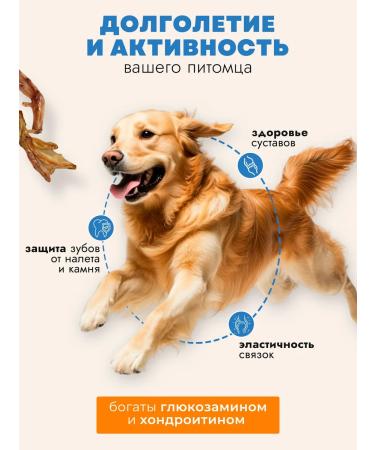 Sherbet&ka Dog treat for dogs 100g - Buy Online on GoSupps.com