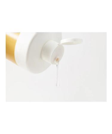 Kaaral Restoring hair shampoo X-Pure Reconstructor - Buy Online on GoSupps.com