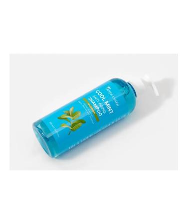 Refreshing hair shampoo Cool Mint Anti-Auging - Buy Online on GoSupps.com