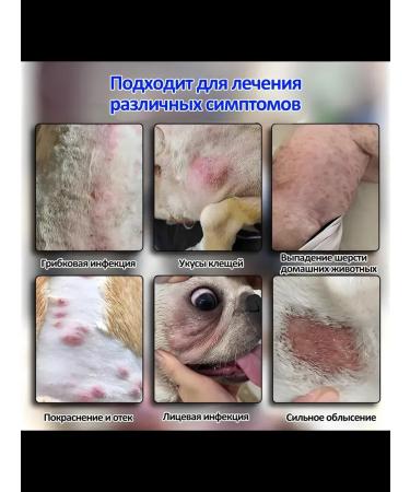 Spray from dermatitis for cats and dogs - Buy Online on GoSupps.com