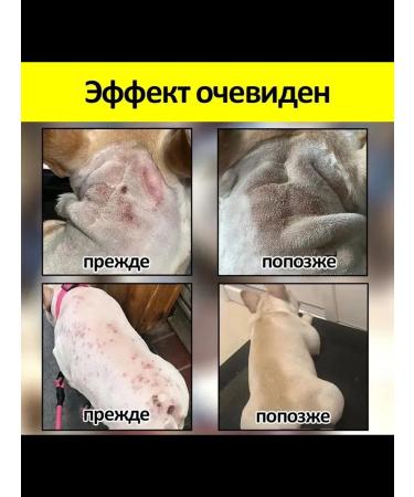 Spray from dermatitis for cats and dogs - Buy Online on GoSupps.com