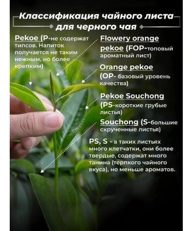 Tarlton Tea Black Ceylon Baykhovy Erl Gray 250 g - Buy Online on GoSupps.com