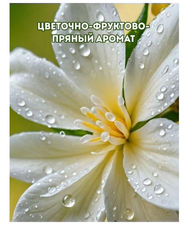 POCUS Hand and body 5 l moisturizing - Buy Online on GoSupps.com