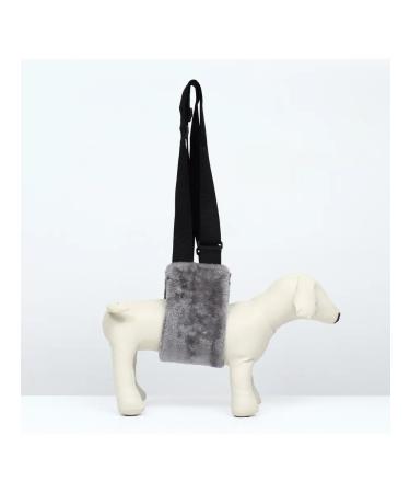 Dude Walks for dogs supporting the hind legs - Buy Online on GoSupps.com