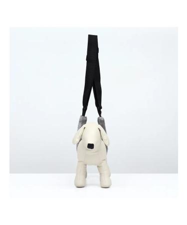 Dude Walks for dogs supporting the hind legs - Buy Online on GoSupps.com