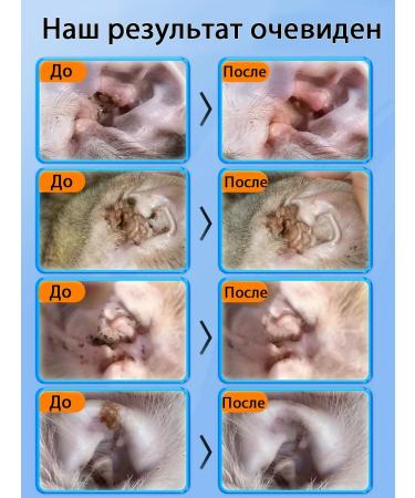 Ear drops from the ear tick for cats and dogs - Buy Online on GoSupps.com