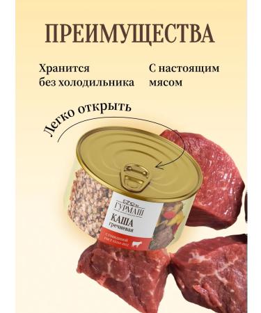 Buckwheat porridge with beef gourmash 325 g - Buy Online on GoSupps.com