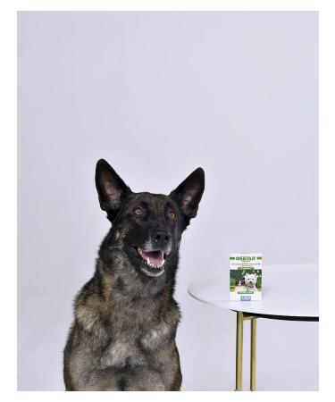 AVZ Feettal against helminths for cats and dogs 6 tablets - Buy Online on GoSupps.com