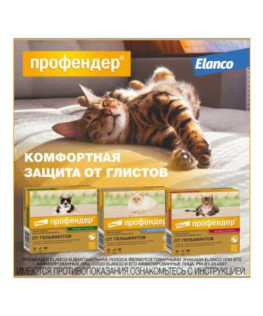 Elanco Profender 0.35ml drops from worms for cats 0.5-2.5kg 2 peep - Buy Online on GoSupps.com