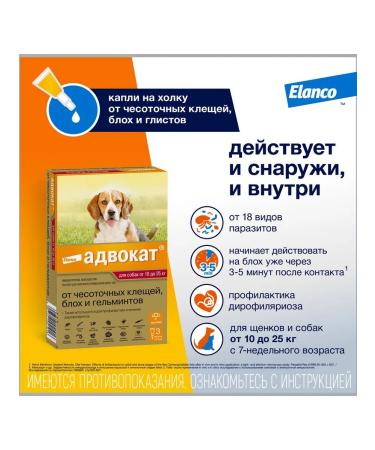 Elanco Lawyer 250 drops from fleas for dogs for dogs 10-25kg 3 PIP - Buy Online on GoSupps.com