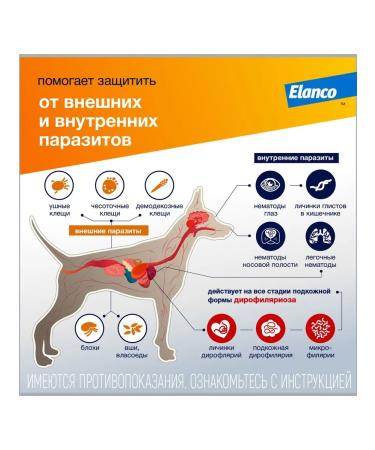 Elanco Lawyer 250 drops from fleas for dogs for dogs 10-25kg 3 PIP - Buy Online on GoSupps.com