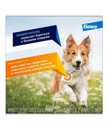 Elanco Lawyer 250 drops from fleas for dogs for dogs 10-25kg 3 PIP - Buy Online on GoSupps.com