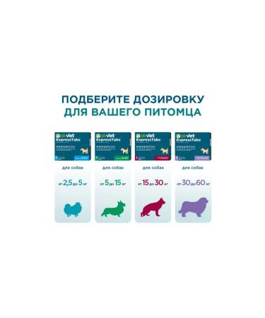 AVZ Expressstabs for dogs from 30 kg to 60 kg from ticks and fleas No. 2 - Buy Online on GoSupps.com