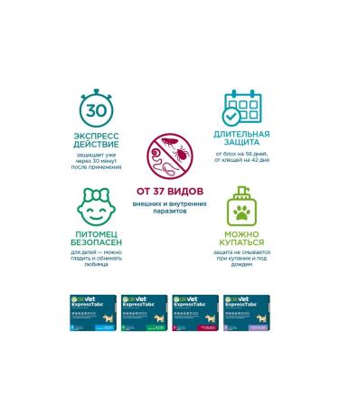 AVZ Expressstabs for dogs from ticks and fleas from 15 kg to 30 kg No. 2 - Buy Online on GoSupps.com