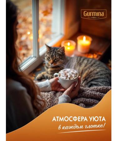 Gurmina Set of drinks 4 pcs 2 tastes drinks mix - Buy Online on GoSupps.com