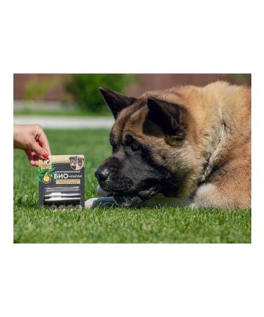 Dude Antiparasitic biocles for dogs of large breeds 25-40kg - Buy Online on GoSupps.com