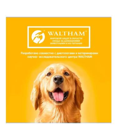 PEDIGREE Dog feed 13 kg - Buy Online on GoSupps.com