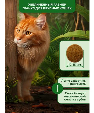 Pet's Brunch Dry food for large cats - Buy Online on GoSupps.com
