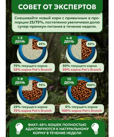 Pet's Brunch Dry food for large cats - Buy Online on GoSupps.com