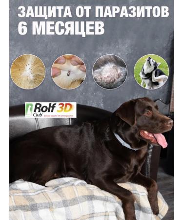 Rolf Club 3D Rolfclub 3D collar for puppies and small dogs 40 cm R433 - Buy Online on GoSupps.com