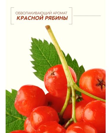 Pure happiness Hair balm with natural mountain ash extract 400 ml - Buy Online on GoSupps.com