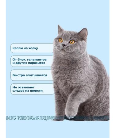 KRKA Sealess Cat drops from 2.6 to 7.5 kg 4 packages - Buy Online on GoSupps.com