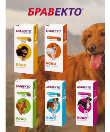 Braveto tablets against fleas and ticks for dogs 20-40 kg - Buy Online on GoSupps.com