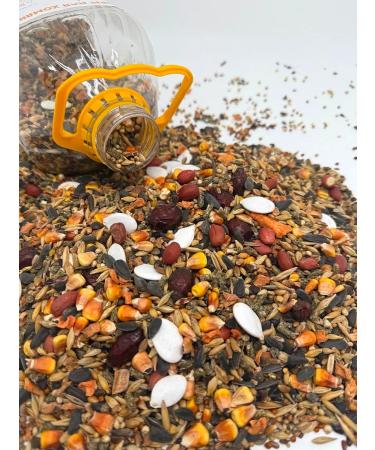 RICH RANCH Feed for hamsters jungarians rats of mice and rodents - Buy Online on GoSupps.com