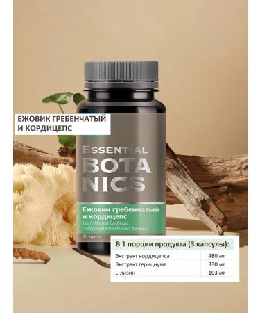 Siberian immunity Lion's Mane and Cordyceps for cognitive enhancement