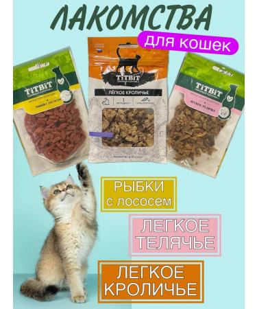 Titbit Cat a treat a set of fish and light