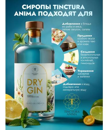 Tinctura Anima Non -alcoholic drink Dry Gin 700 ml - Buy Online on GoSupps.com