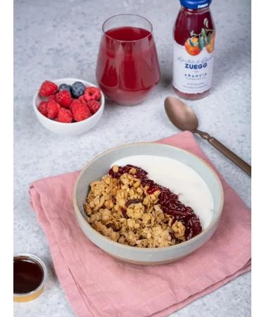 Zuegg Krasny orange juice 24 pcs x 200 ml - Buy Online on GoSupps.com