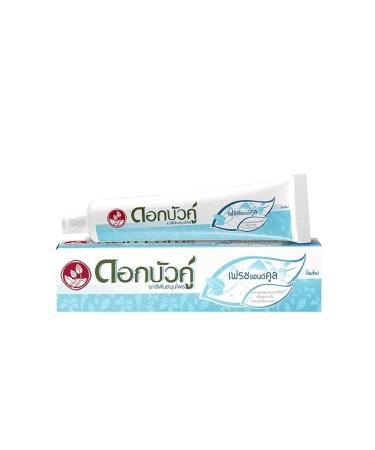 TWIN LOTUS Thai bleaching toothpaste 100 g - Buy Online on GoSupps.com