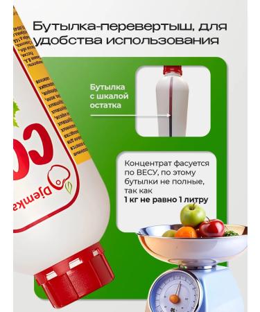 Djemka The basis for Lemonad Mohito - Buy Online on GoSupps.com