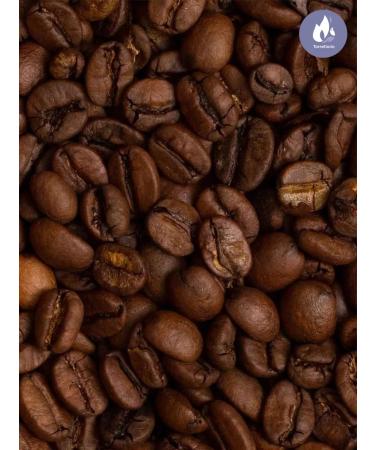 Torrefacto Coffee in grains 500gr Brazil Santos - Buy Online on GoSupps.com