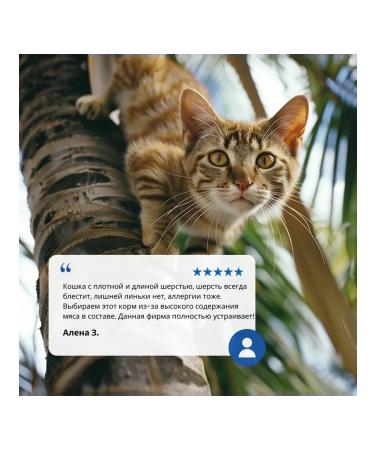 Farmina ND tropical with chicken for sterilized cats 1.5 kg - Buy Online on GoSupps.com