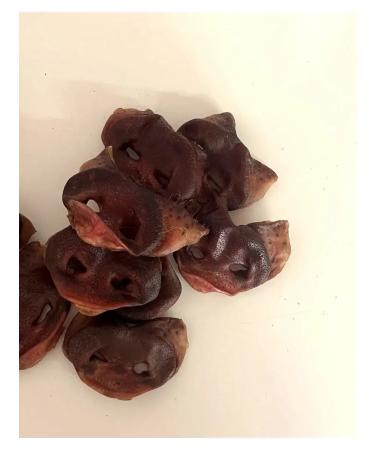 Pet Dog Izh Pork peppers 200 grams - Buy Online on GoSupps.com