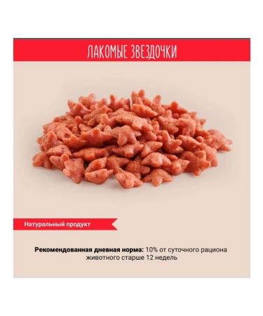 Chewell A treat with salmon for cats 20 g 6 pcs - Buy Online on GoSupps.com