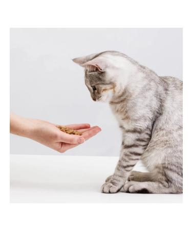 Chewell Beef a treat for cats 30 g 6 pcs - Buy Online on GoSupps.com